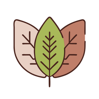1 (2297).png